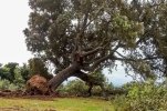 IMG_1043.jpeg