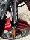 IMG_2895.jpeg