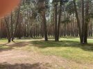 IMG_3218.jpeg