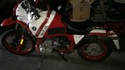 IMG_0236.jpeg