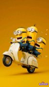 Minion en moto.jpg