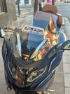 IMG_5972.jpeg