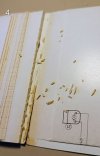 1000051978.jpg 1000051978.jpg