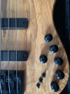 IMG_7646.jpeg