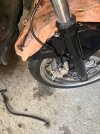 IMG_3267.jpeg