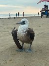 IMG_1077.jpeg