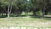 20140415_154457.jpg