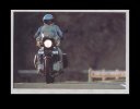 IMG_3719.jpeg
