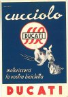 Ducati.jpg