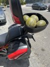 IMG_6512.jpeg