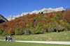 IMG_7545.jpg