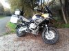 IMG_20161102_175037.jpg