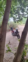 20260803_115354.jpg