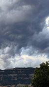 9d129584-70f6-46d6-b58c-d8d975cf024e.jpeg