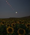 Total Solar Eclipse.jpg