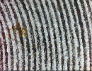 1786704314157.png 1786704314157.png