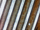 1786704363596.png 1786704363596.png