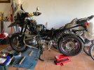 IMG_4223.jpeg
