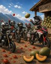 motoristas_melones_comprimida.jpg