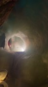 IMG_4694.jpeg