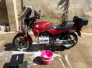 IMG_5300.jpeg