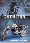 Montesa cappra 250.jpg