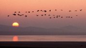 IMG_1241.jpeg