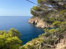 IMG_2269.jpeg