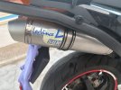 IMG_1257.jpeg