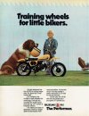 Suzuki niño.jpg
