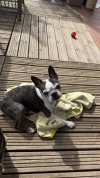 IMG_4030.jpeg IMG_4030.jpeg
