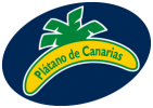 pdc-logo.png