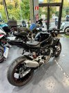 IMG_6259.jpeg