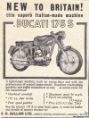 Ducati 178S.jpg