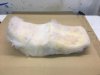 IMG-20161020-WA0002.jpg