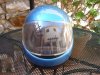 DSC00338.jpg