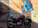 IMG_8612.jpeg