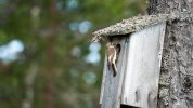 IMG_1298.jpeg