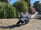 IMG_6967.jpeg