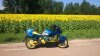 DSC_0277.jpg DSC_0277.jpg