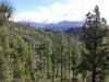 20161204_132317.jpg