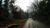 20161218_093659.jpg
