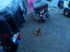 IMG_20161218_090057.jpg
