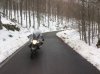 IMG_3961.jpg
