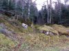 IMG_4458.jpg