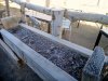 20170122_110009.jpg