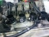 IMG-20170130-WA0006.jpg