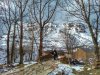 IMG_20170209_144631-02.jpeg