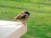 20170218_164657.jpg