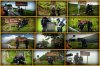 Ruta a los puertos de Cantabria 2014.jpg